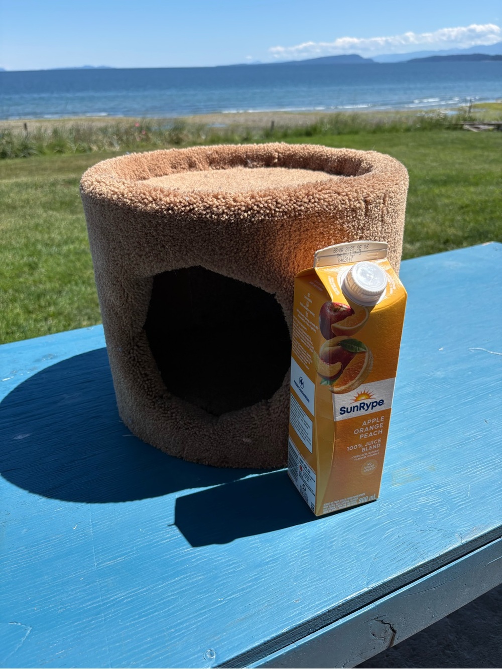 Tucker Murphy cat tree
